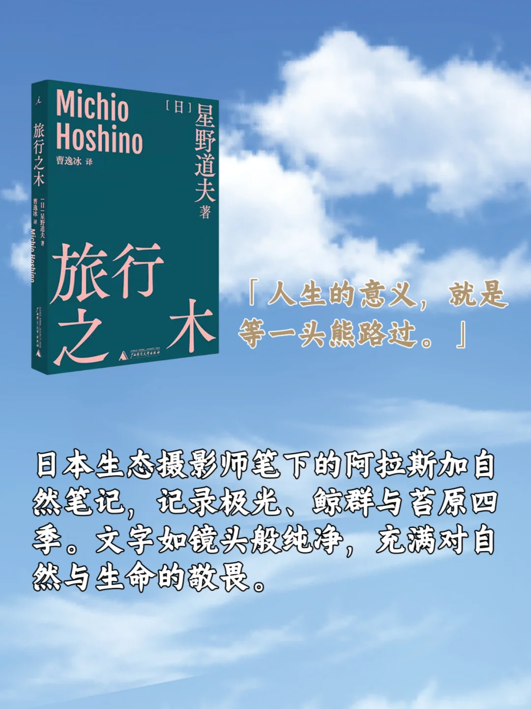 五一宅家书单｜12本旅行文学灵魂替你去环游