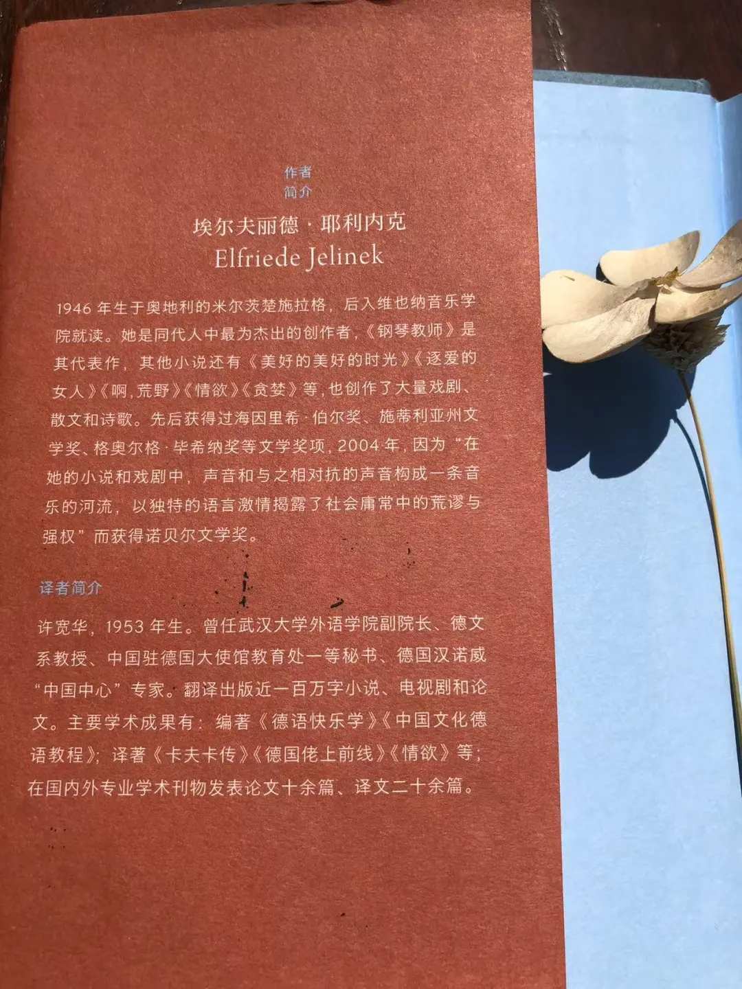 《情欲》你敢直面欲望背后的真相吗