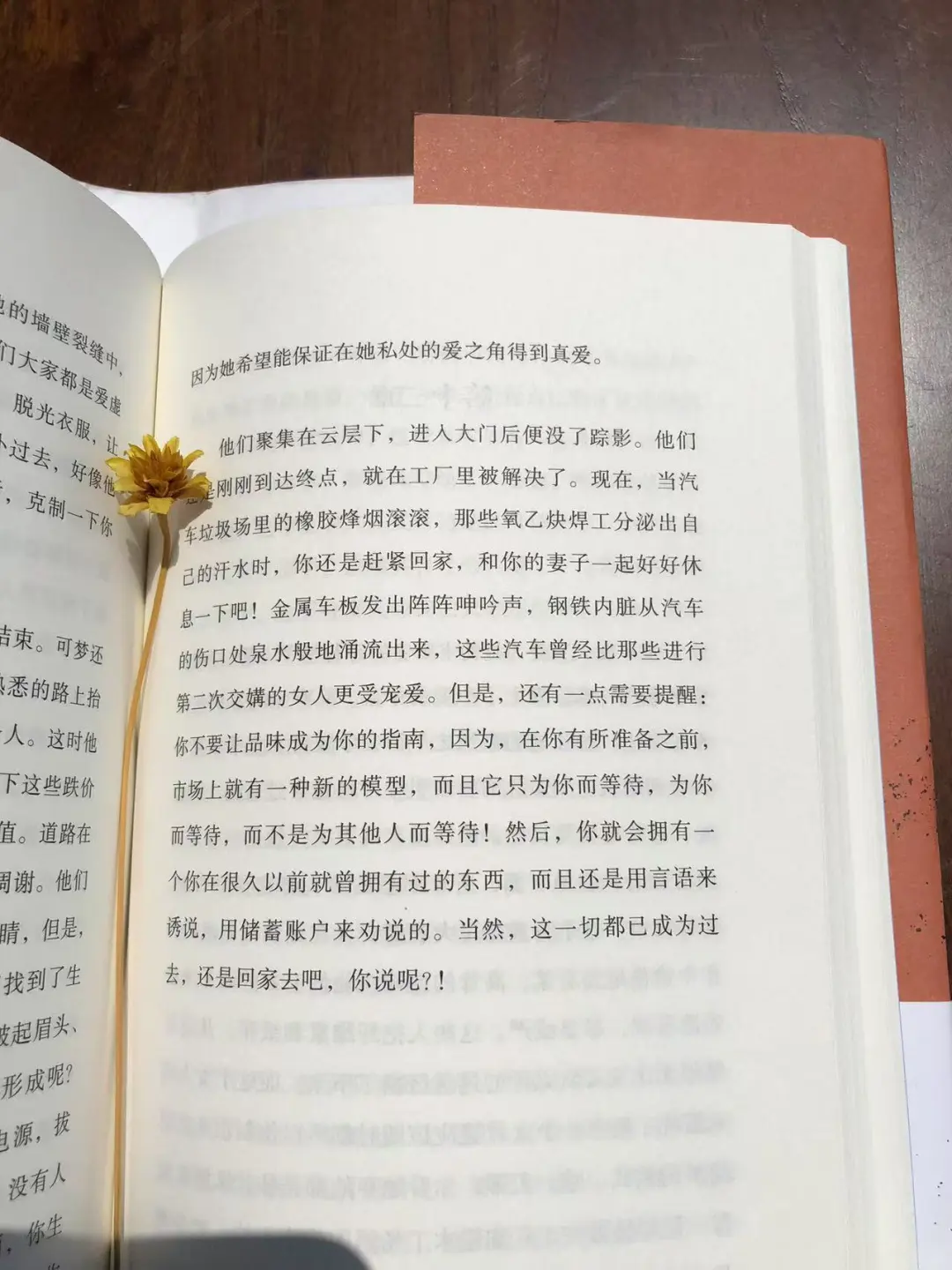 《情欲》你敢直面欲望背后的真相吗