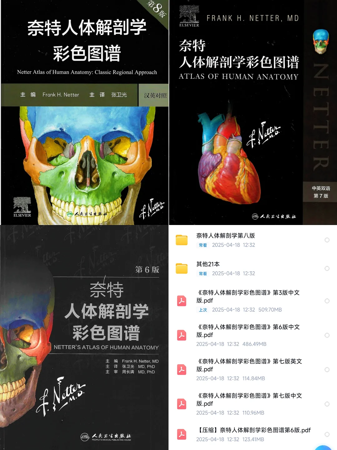 奈特人体解剖学彩色图谱｜电子书PDF❗