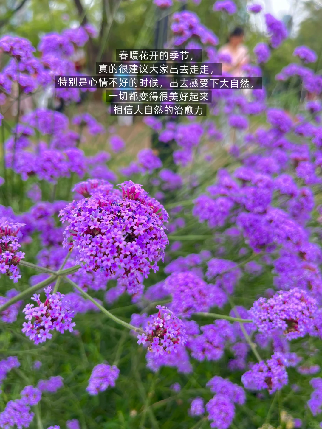 提升自我拒绝内耗！108本高质量必读书单