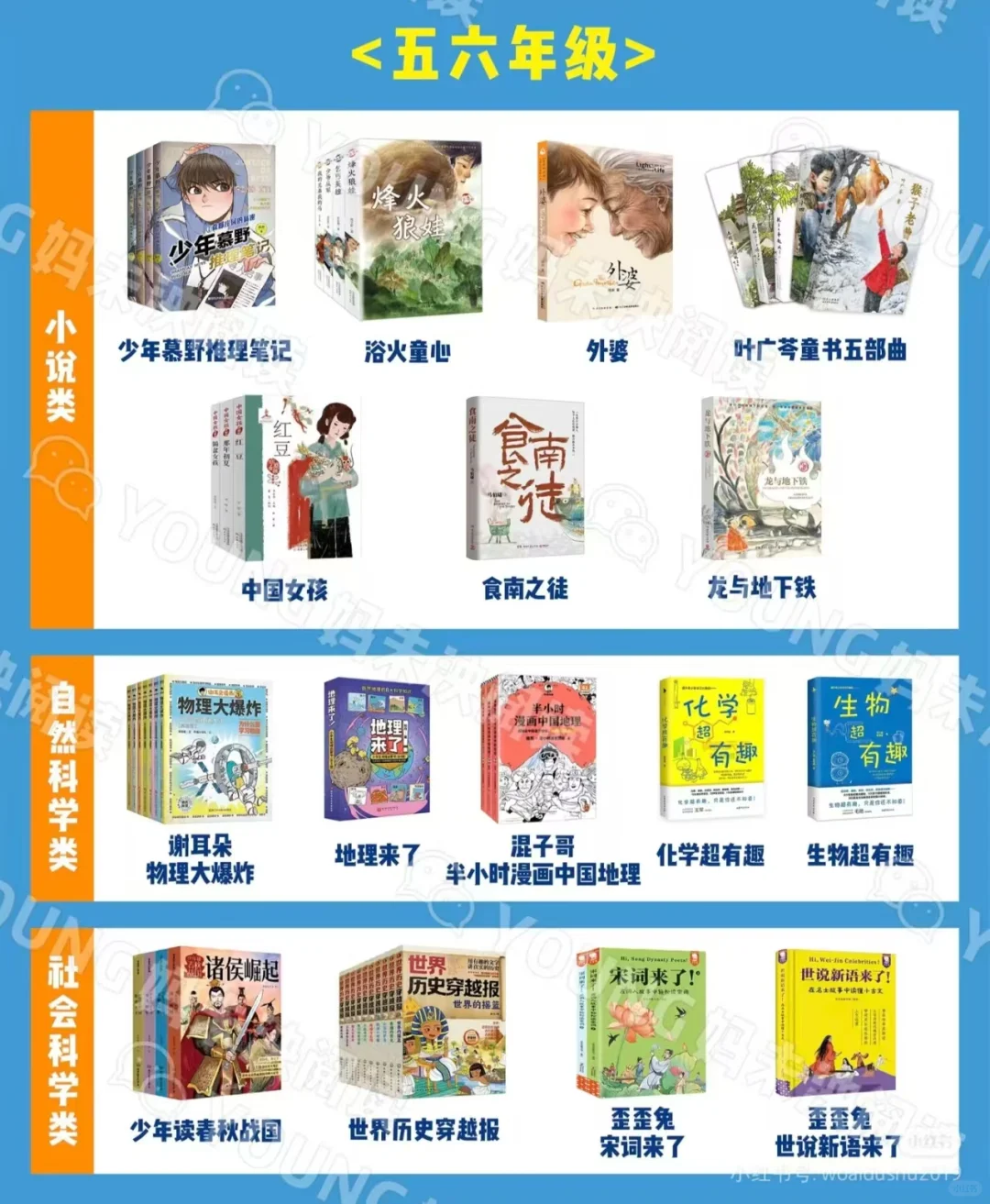 吐血整理young妈中文书单