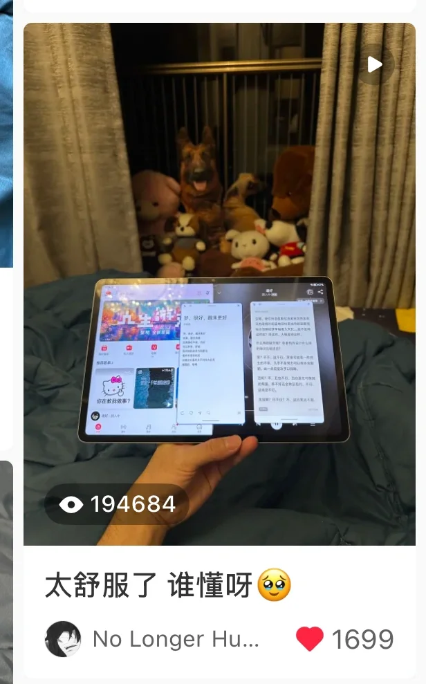 你可能不认识我但你一定刷到过我的笔记