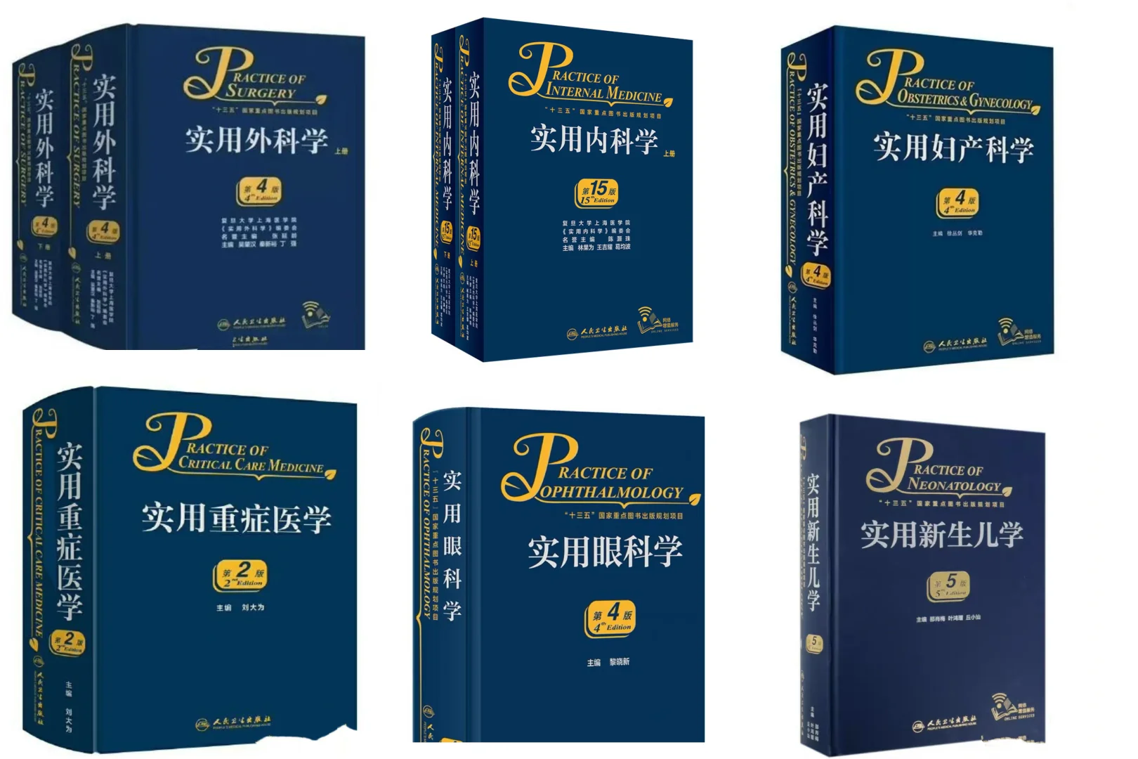实用医学系列 电子版 pdf