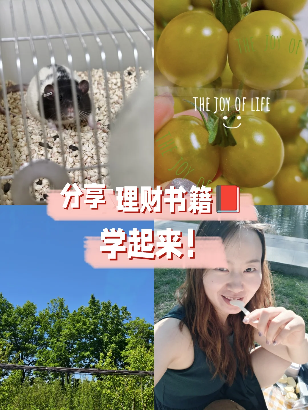 分享理财书单：财富进阶指南