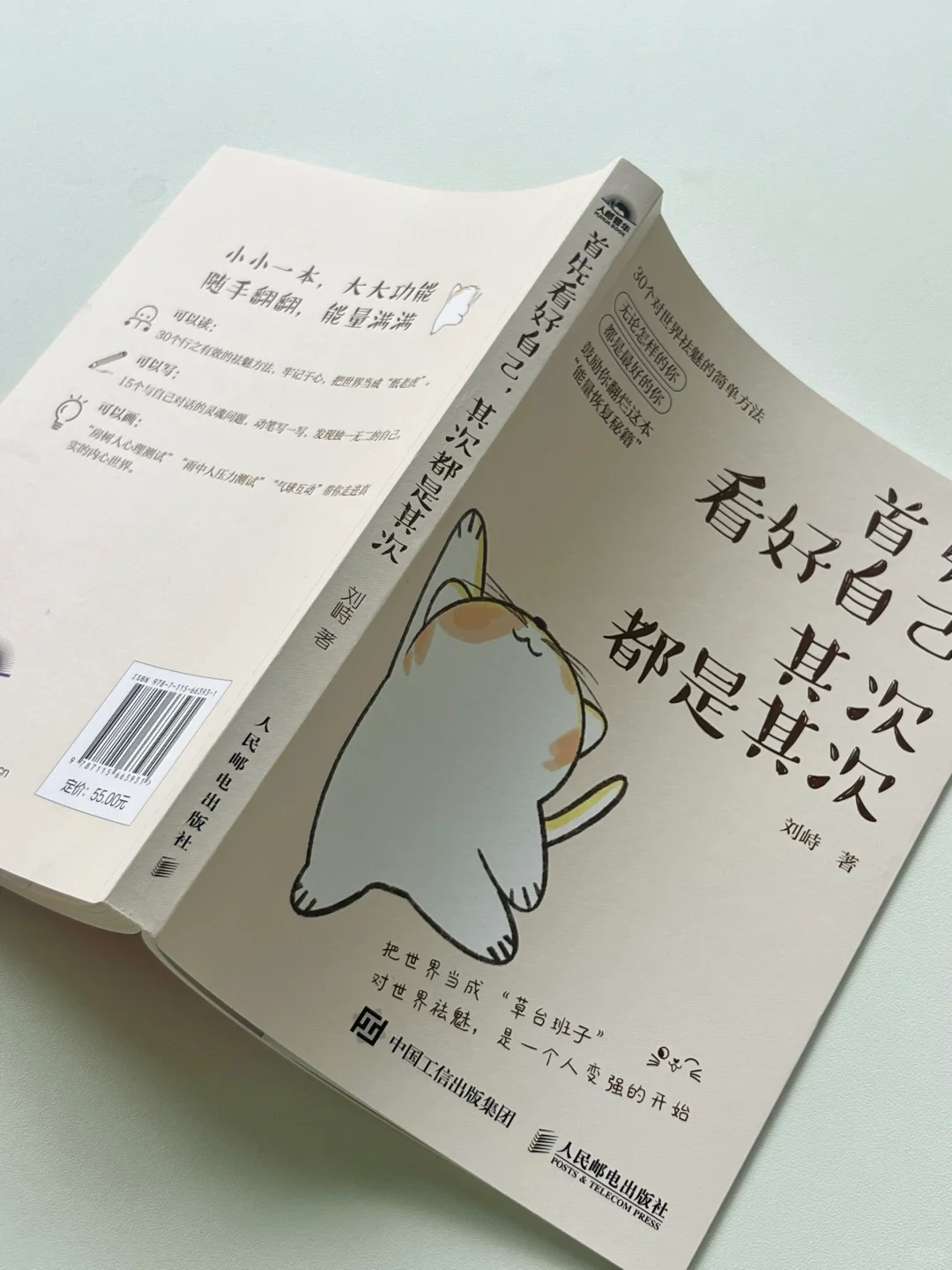 我宣布！这是我今年读到过最有能量的书！！