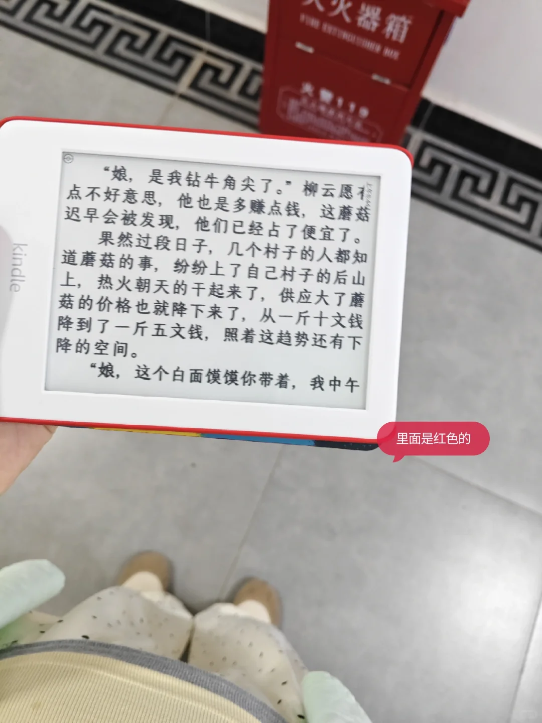 白kindle➕1|2019青春版和它的壳子