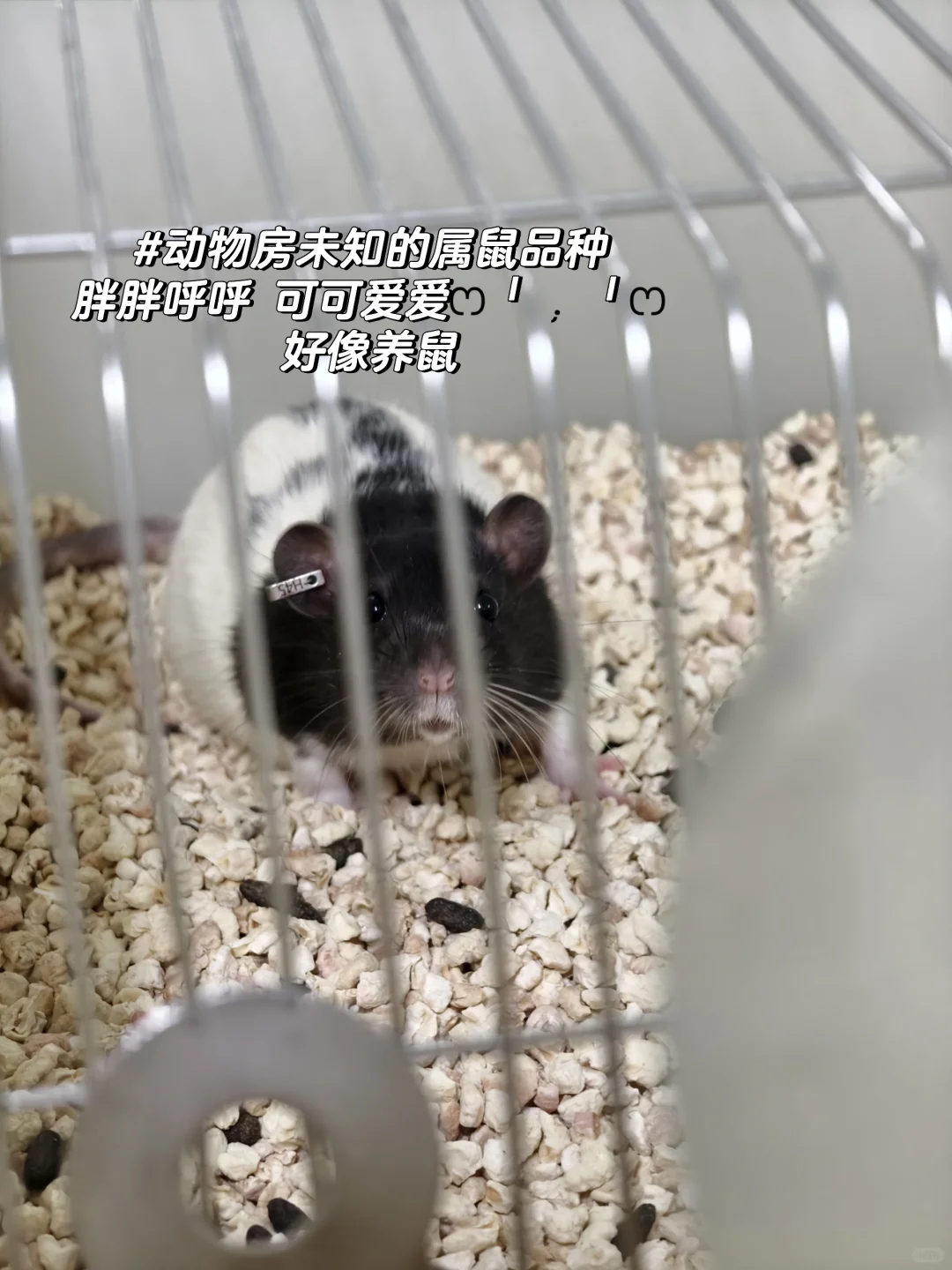 分享理财书单：财富进阶指南