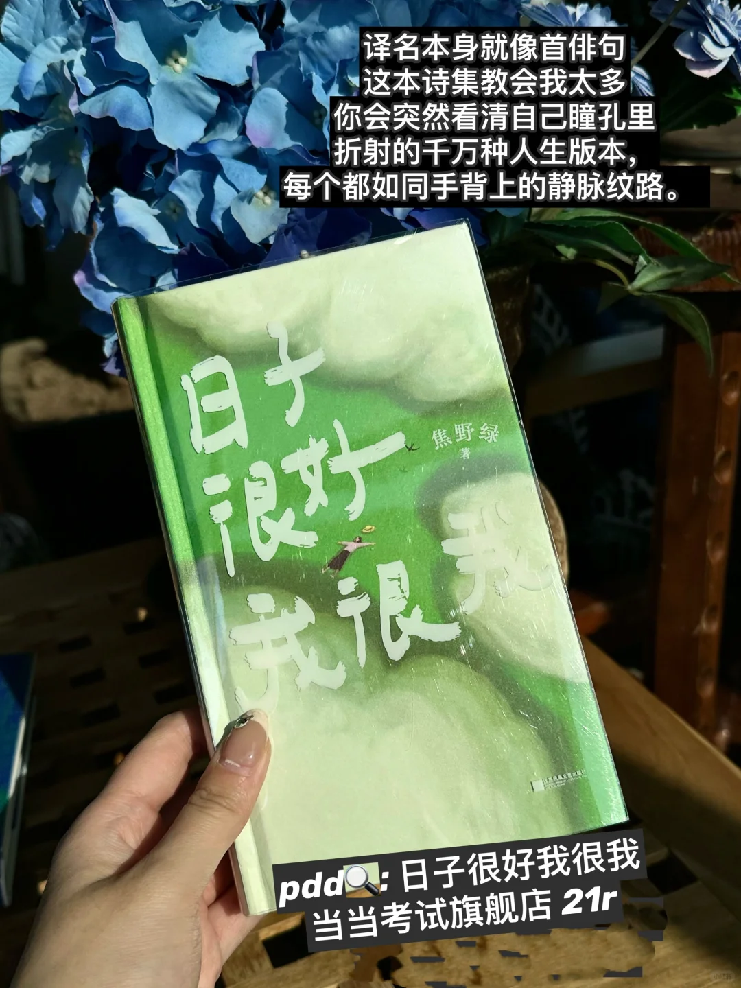今年最爱的7本书！！无与伦比的阅读质感！！pdd