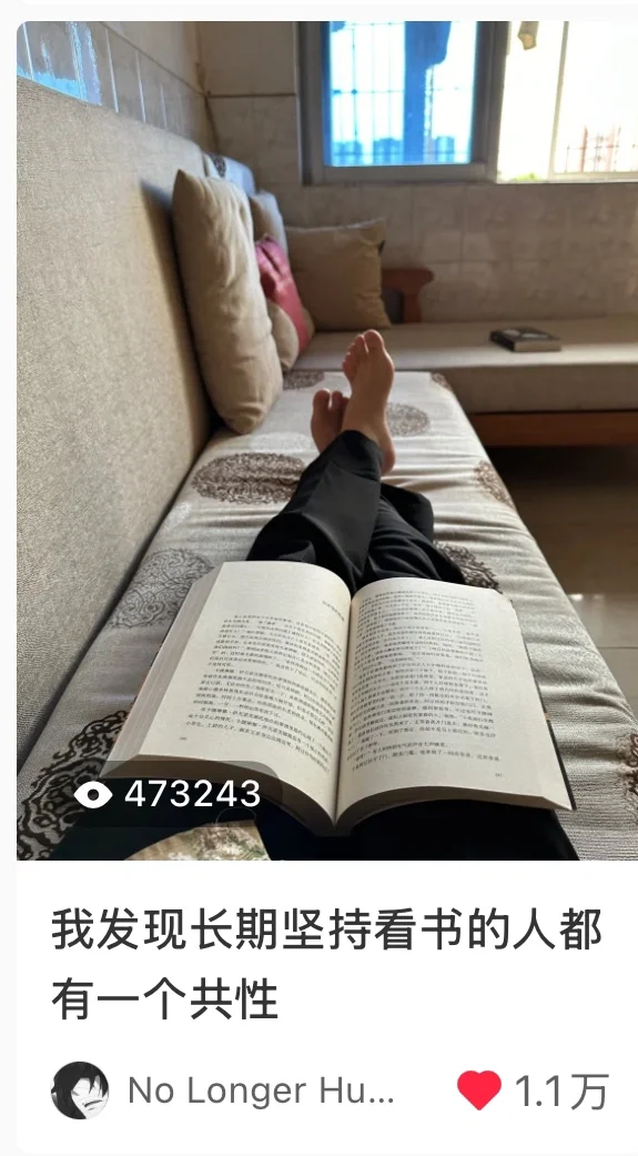 你可能不认识我但你一定刷到过我的笔记