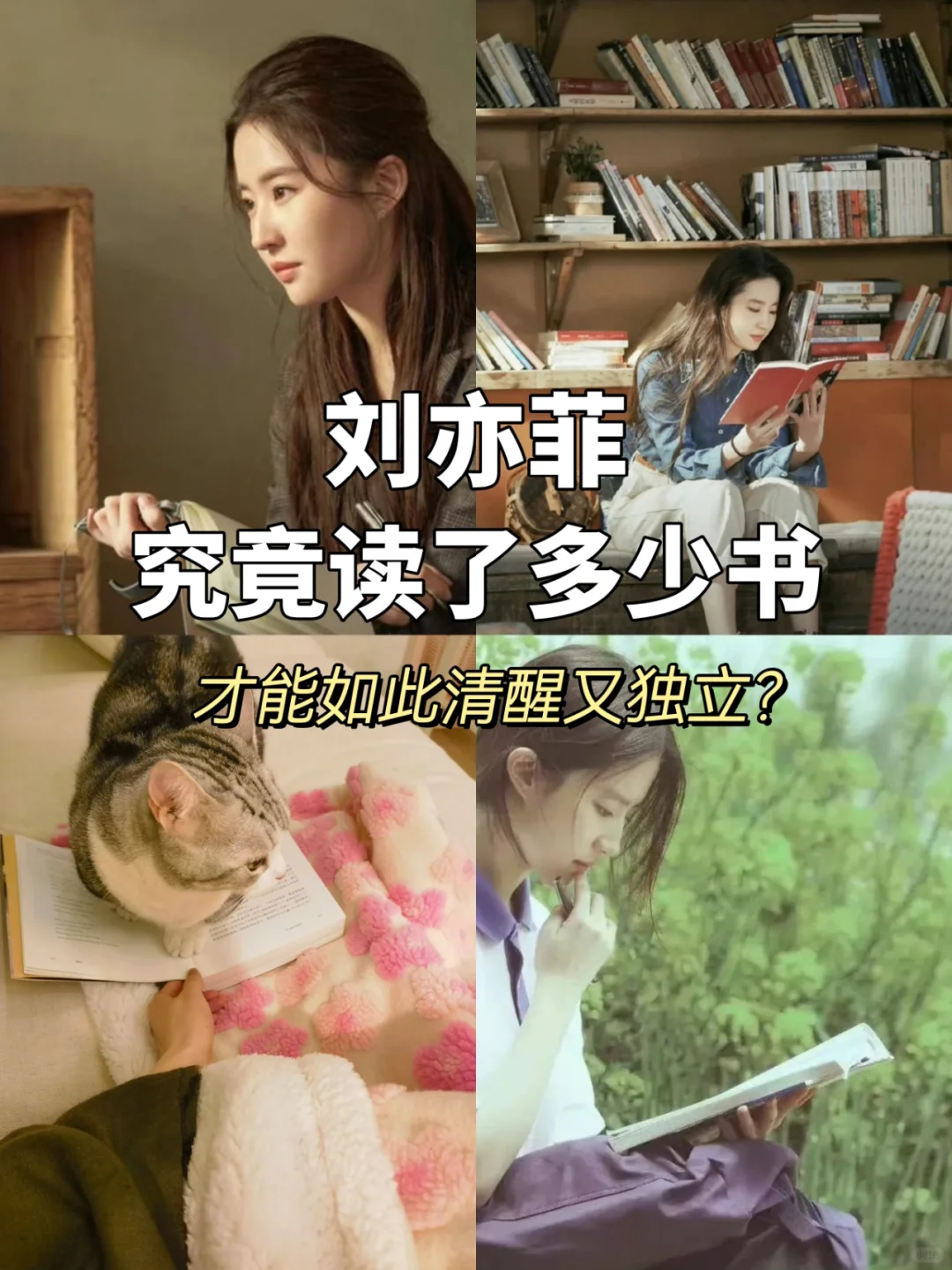 刘亦菲究竟看了多少书，才能如此清醒又独立