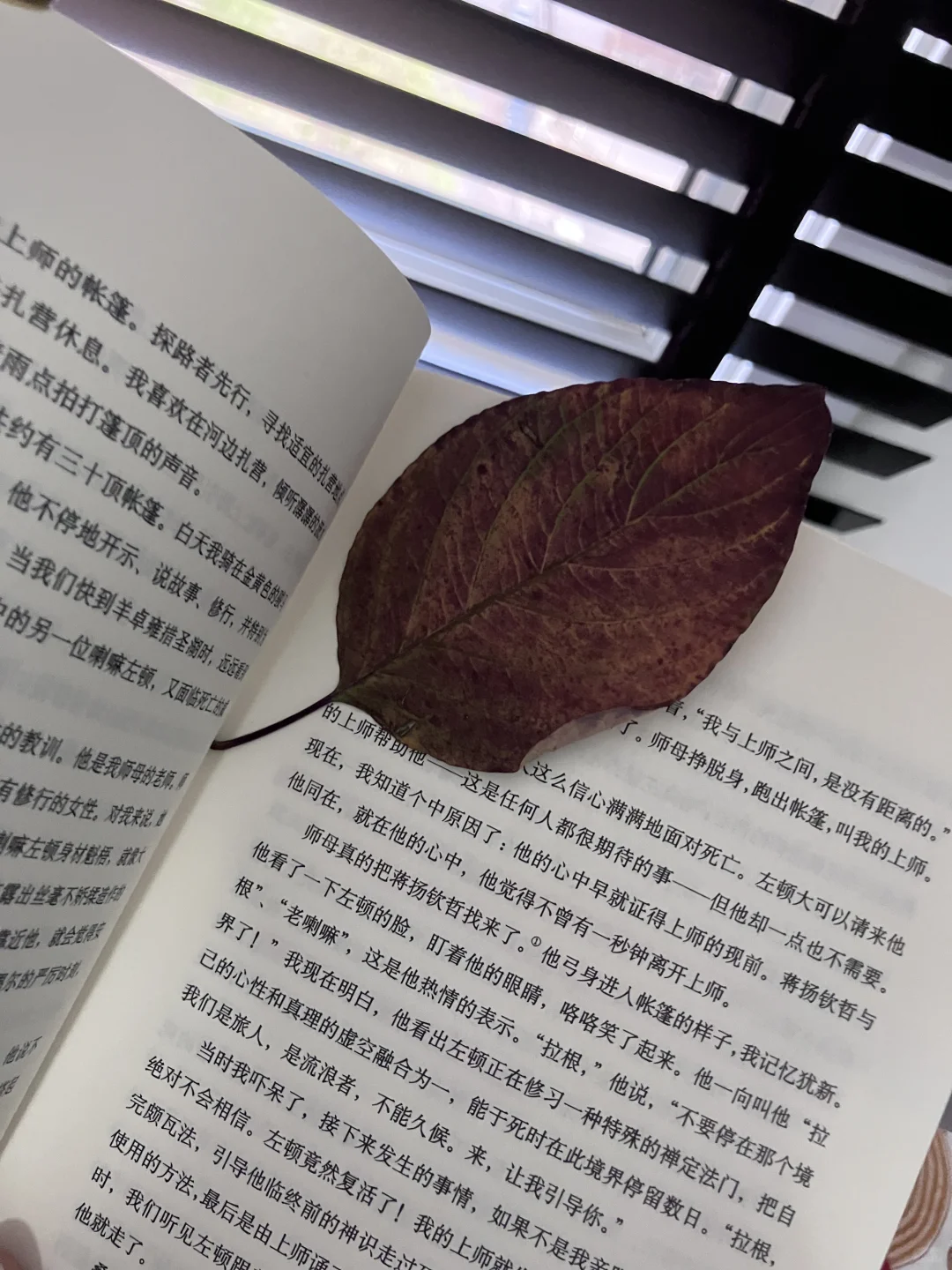 自救书单｜低谷期5本高治愈力纸质书📚