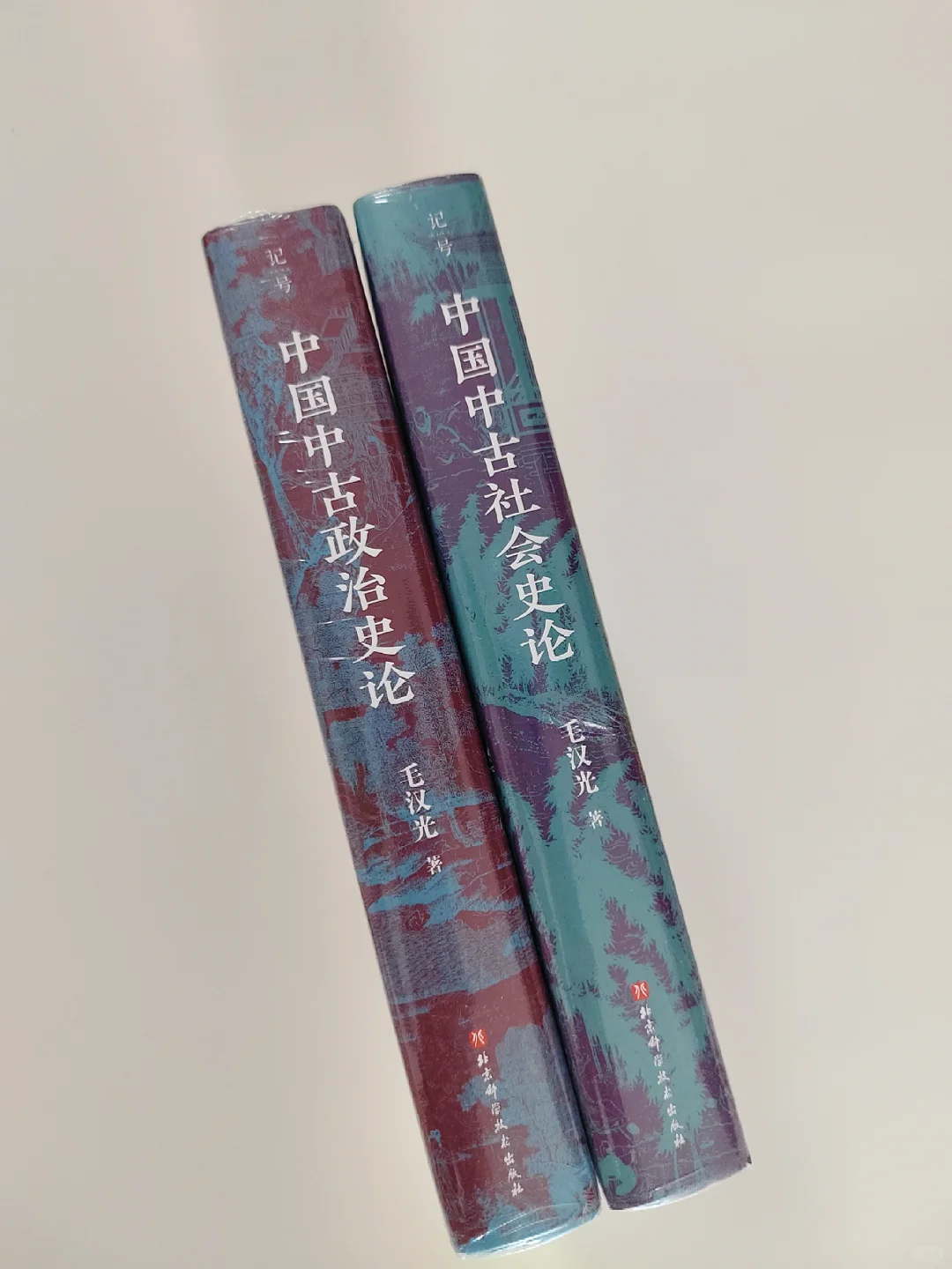 魏晋十六国南北朝书单📚No.28-No.29