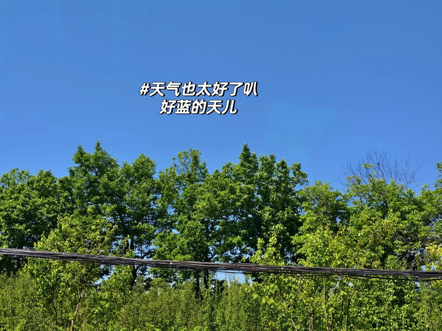 分享理财书单：财富进阶指南