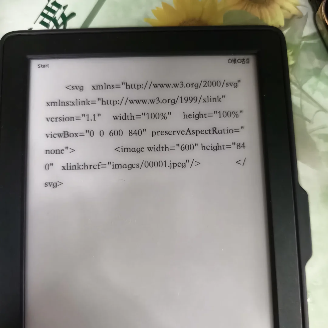 为什么我的kindle这么多问题啊