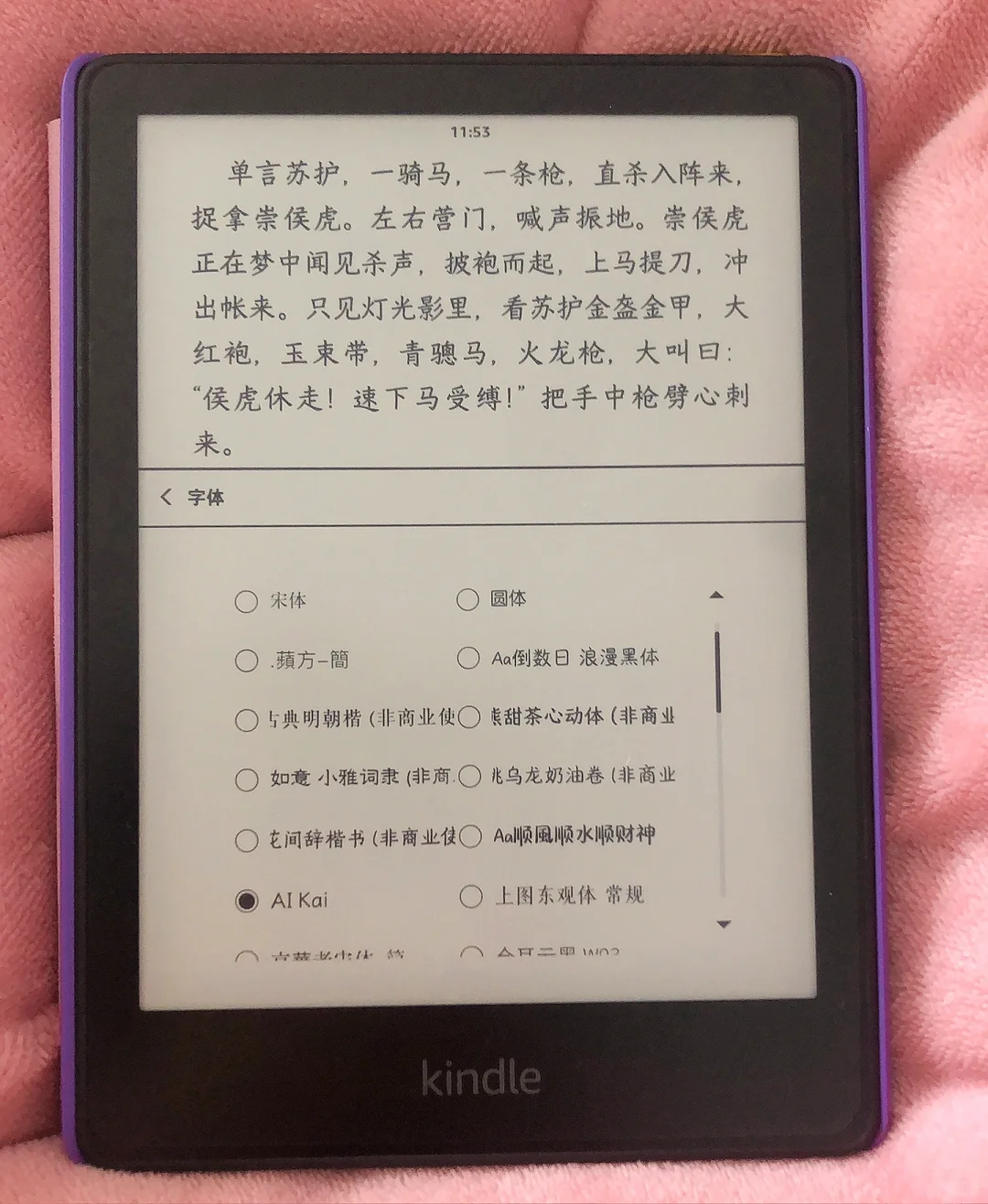 Kindle字体分享，kindle生僻词带拼音好用
