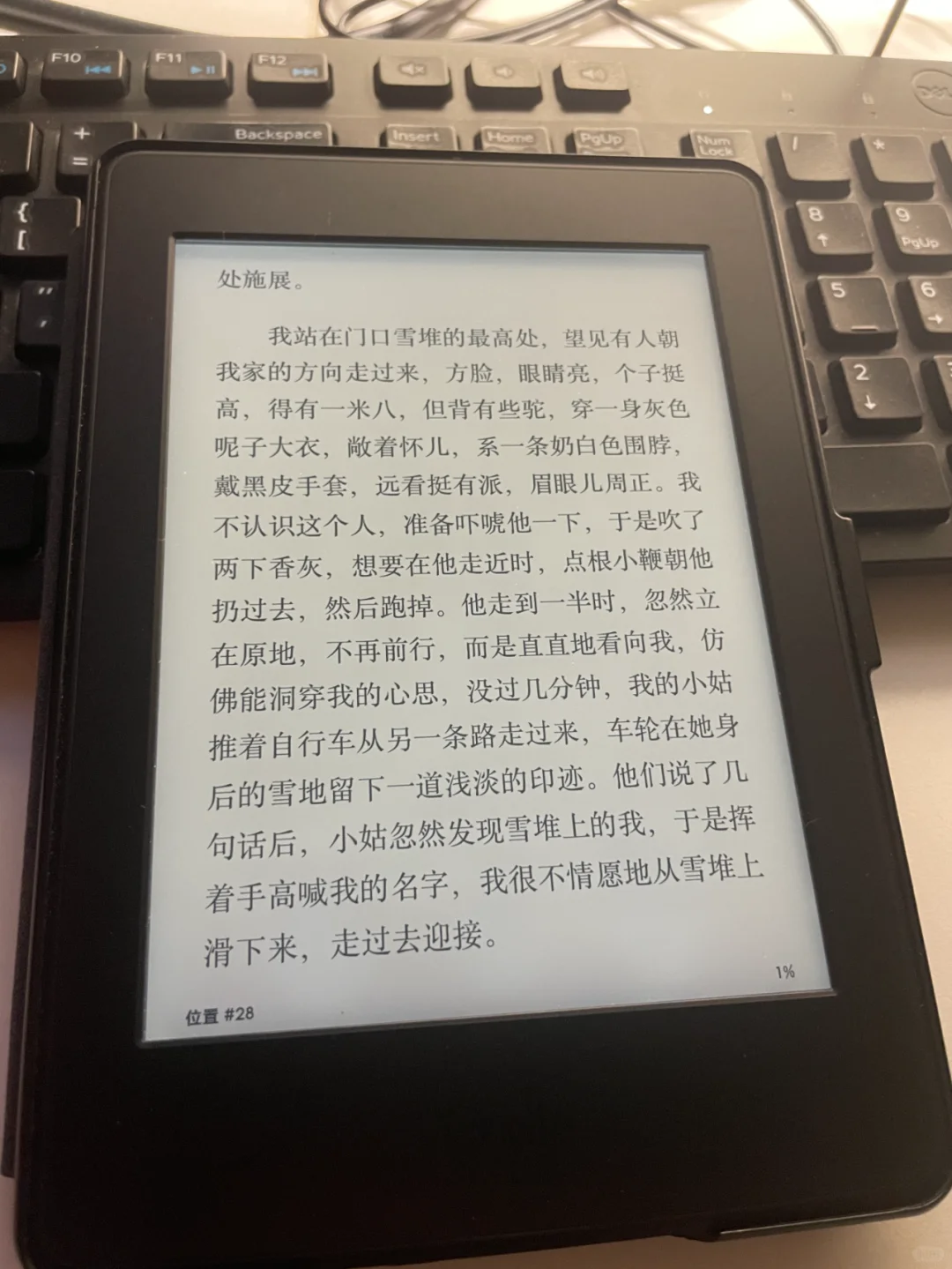 宝子们，我的 Kindle 可以重新上岗啦！