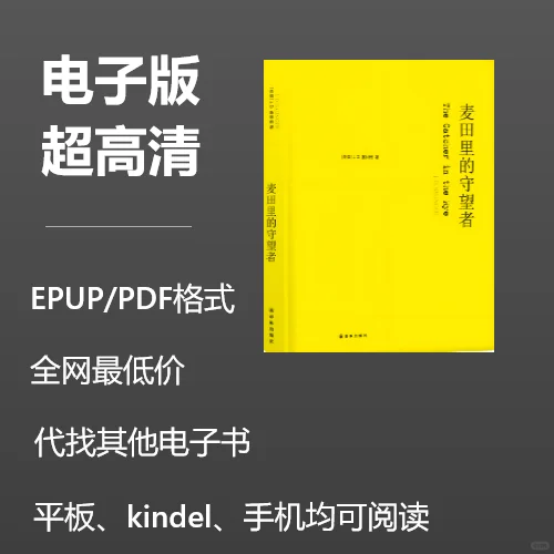 电子书《麦田里的守望者》0.8元