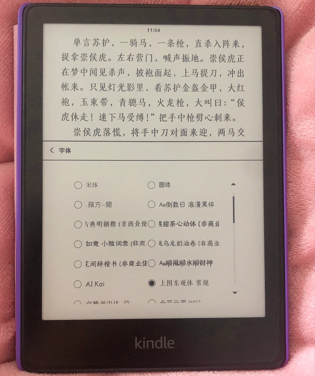 Kindle字体分享，kindle生僻词带拼音好用