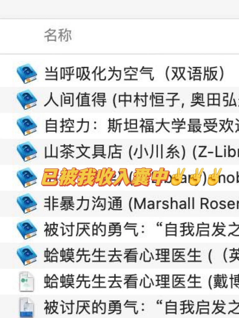 实现读书自由，电子书自由✌️太香了❤️❤️