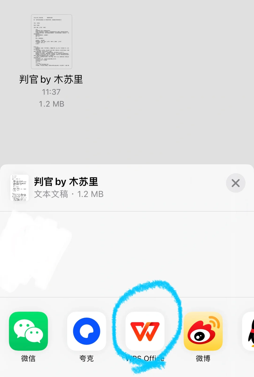 🍎ios➡️txt转epub