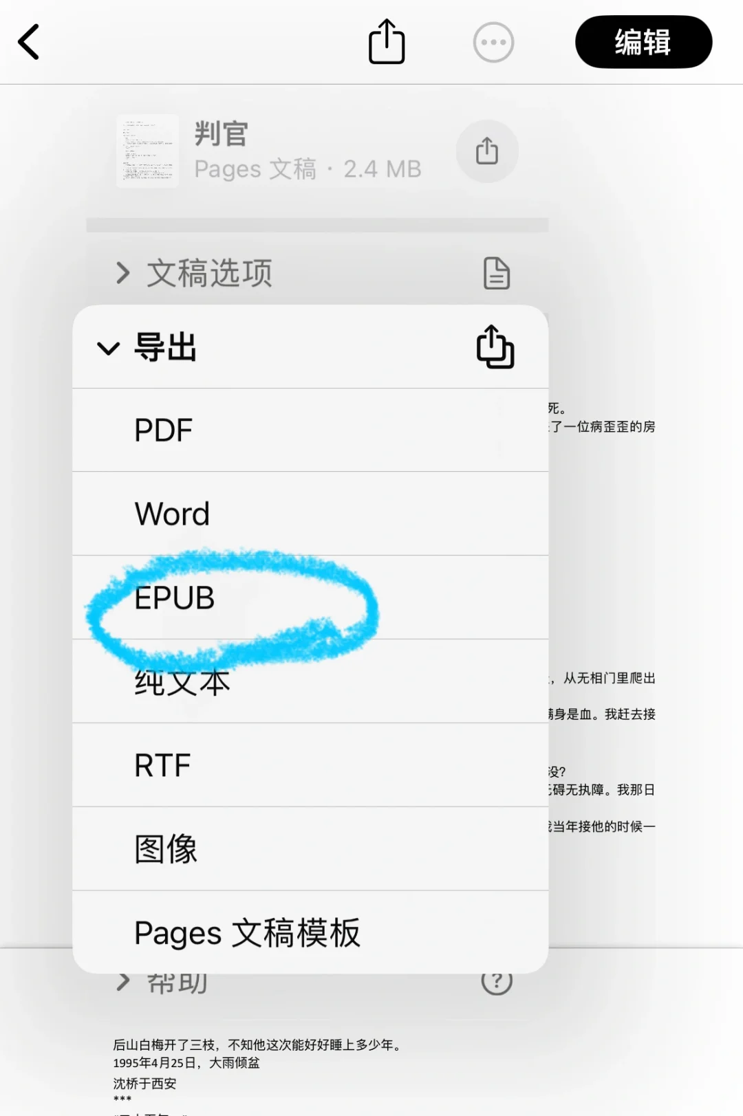 🍎ios➡️txt转epub