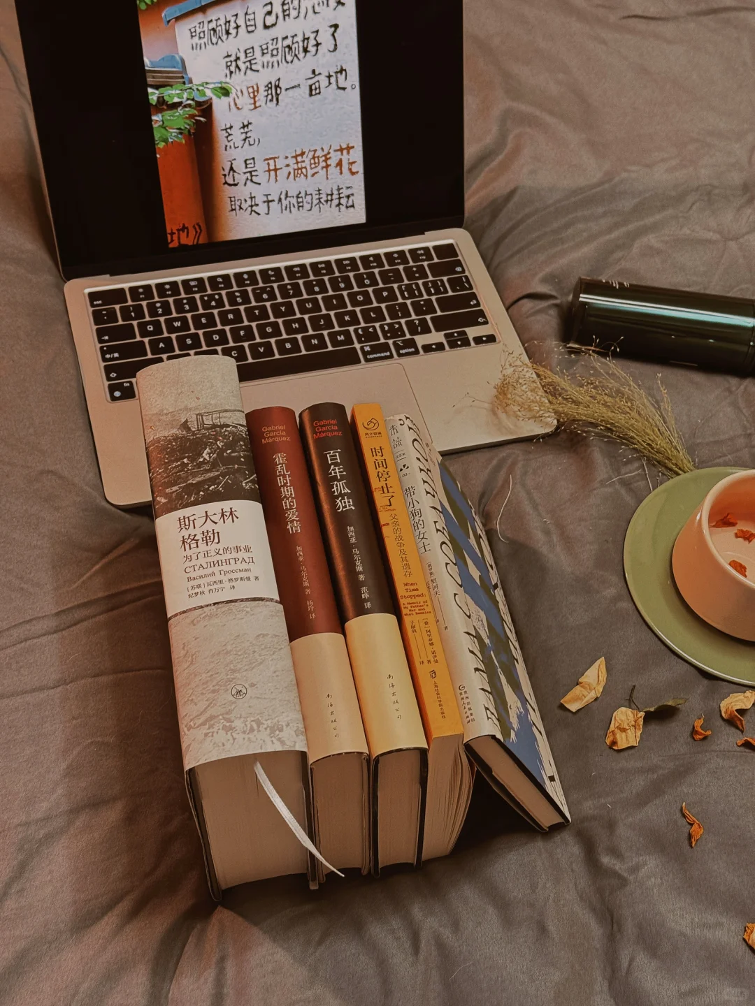 我的2024年度书单📚（文学类）