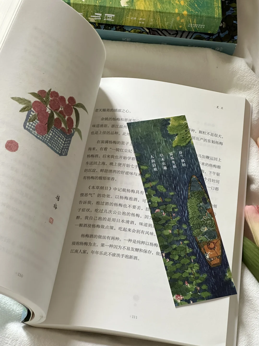 治愈的春日书单🌿每一本我都太太太爱啦！