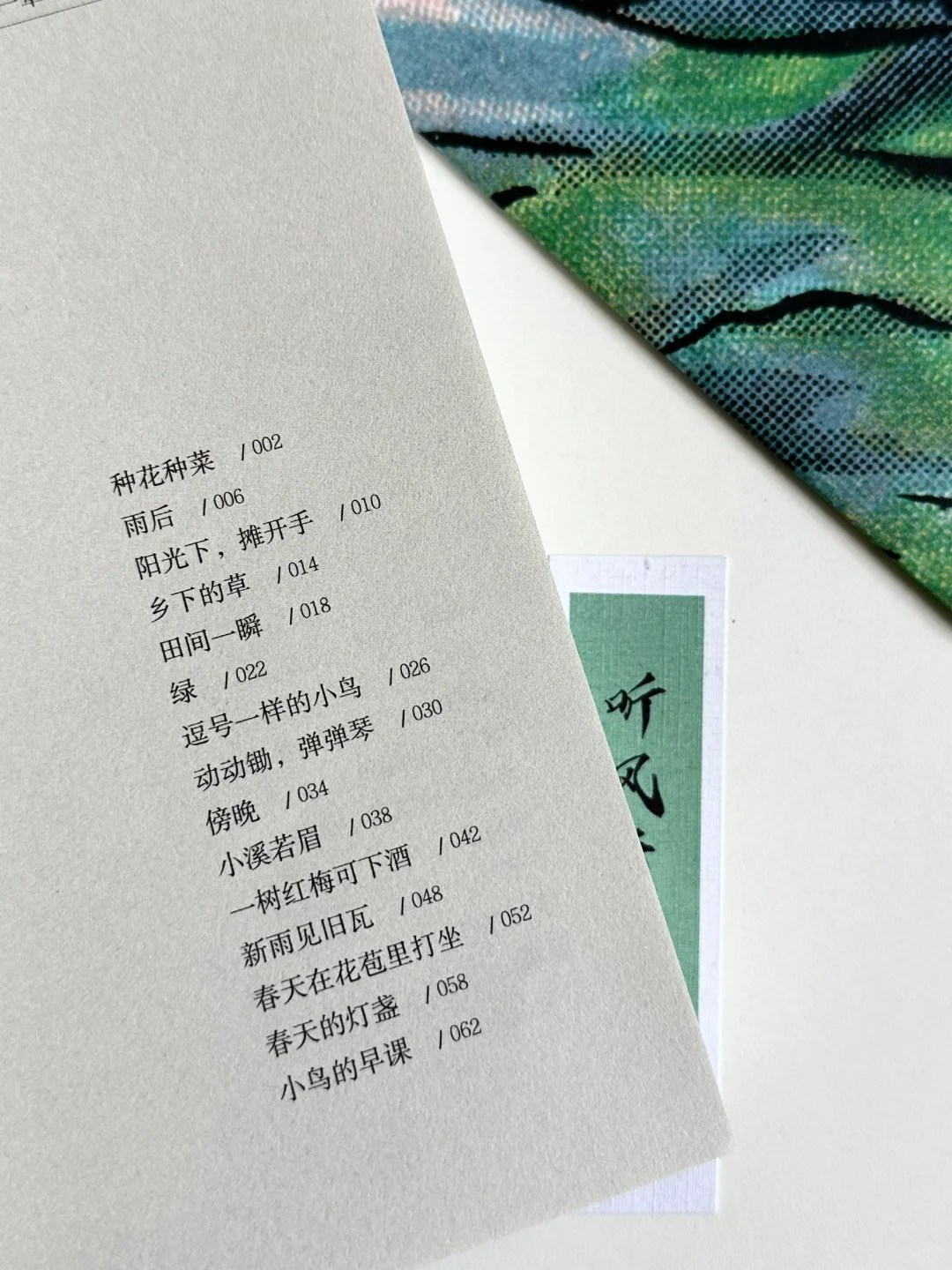 怎么会有这么温暖的书啊！太太太治愈了🍃