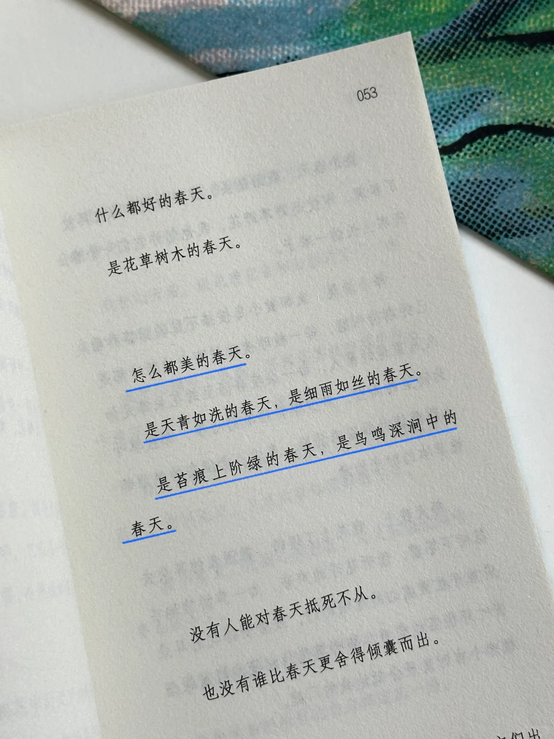 怎么会有这么温暖的书啊！太太太治愈了🍃