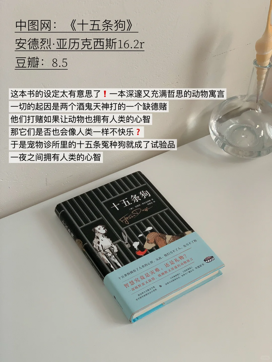 分享10本古怪又有趣的小说❗豆瓣高分❗