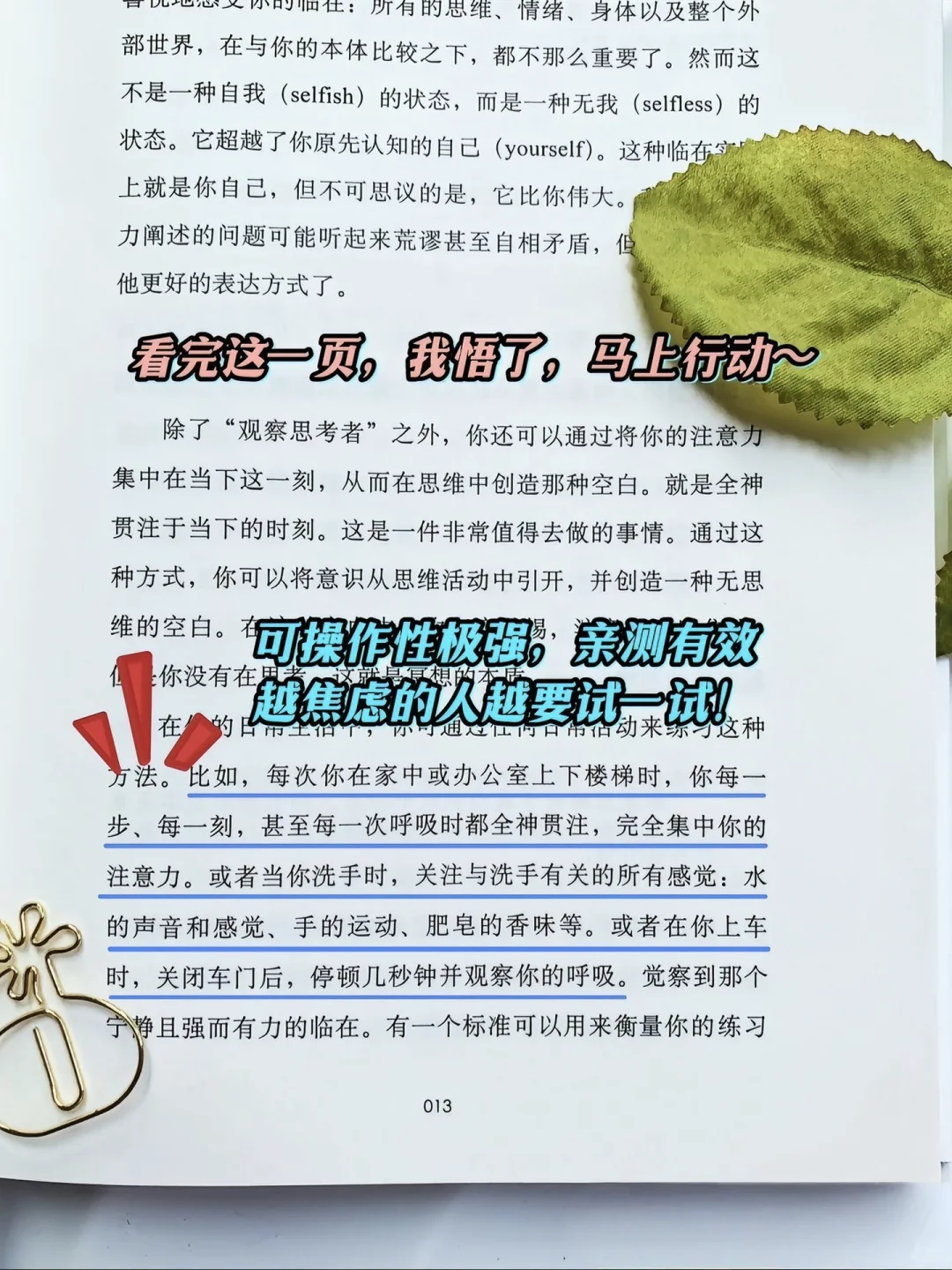 刘亦菲推荐的书、一本女生核心的经世之作