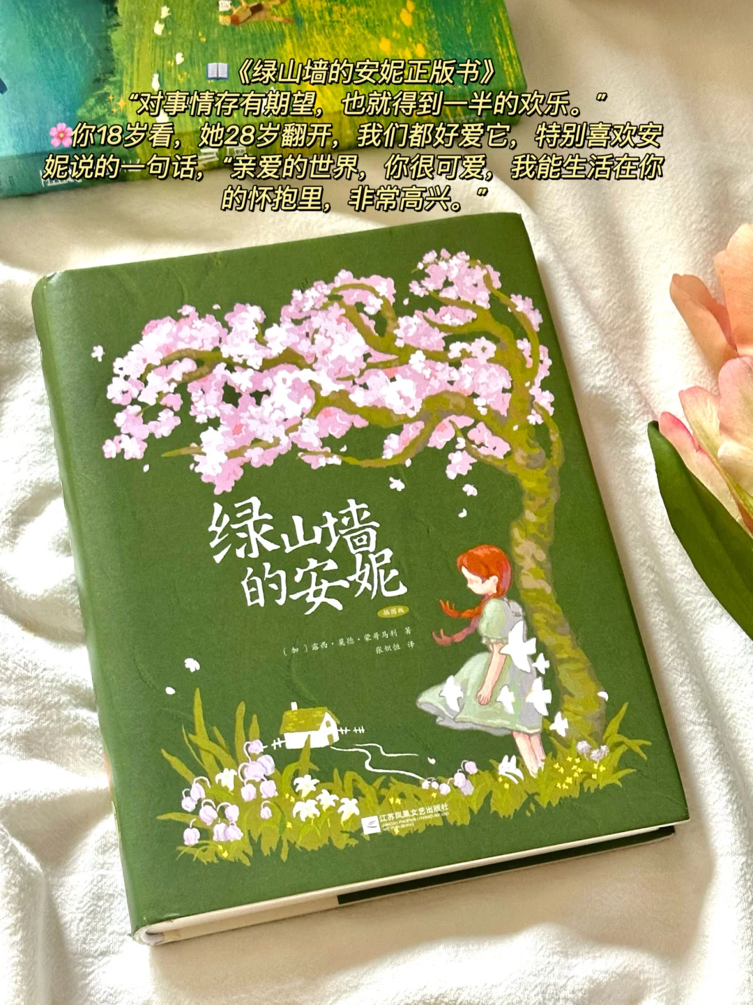 治愈的春日书单🌿每一本我都太太太爱啦！