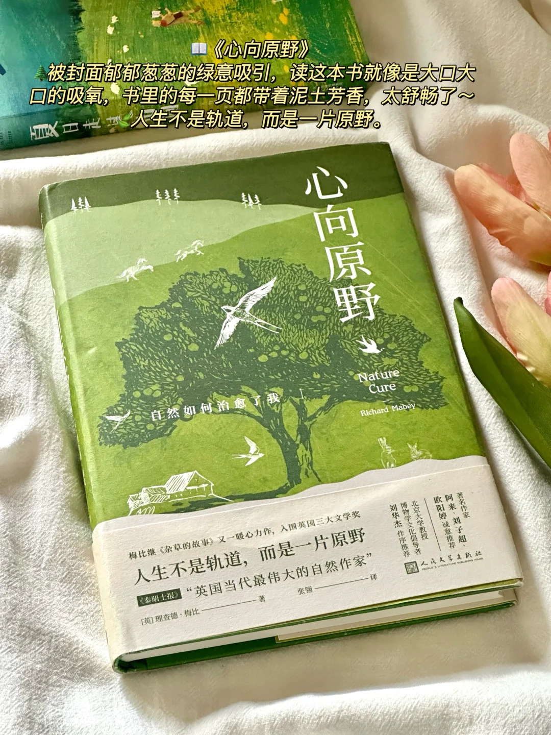 治愈的春日书单🌿每一本我都太太太爱啦！
