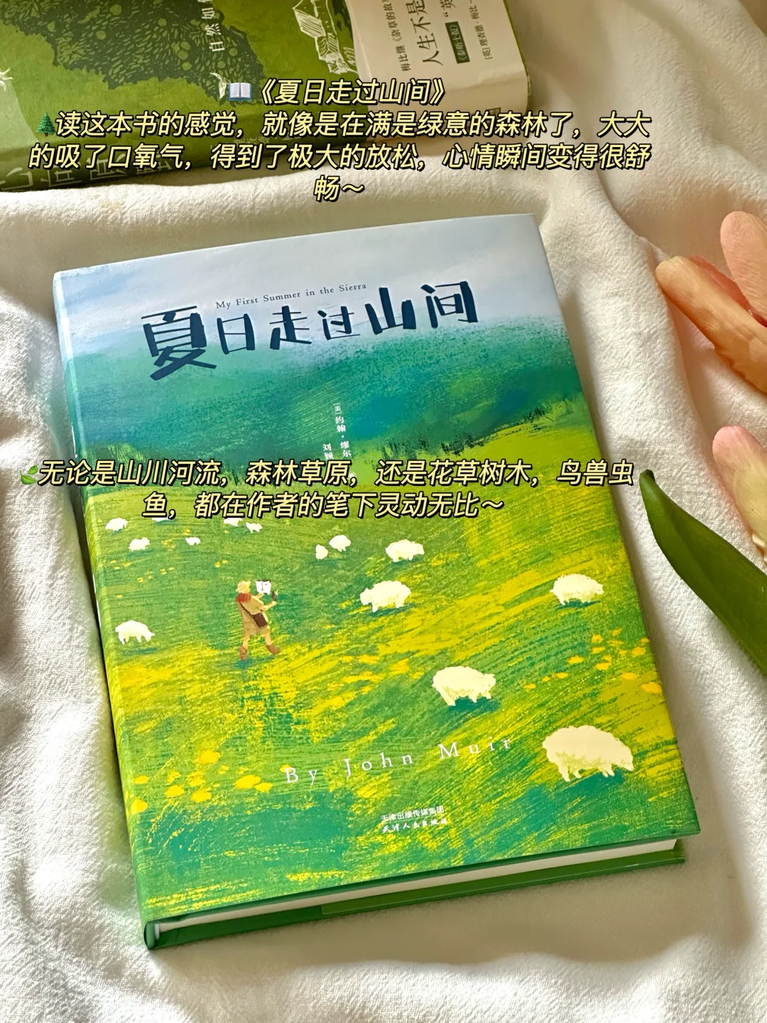 治愈的春日书单🌿每一本我都太太太爱啦！