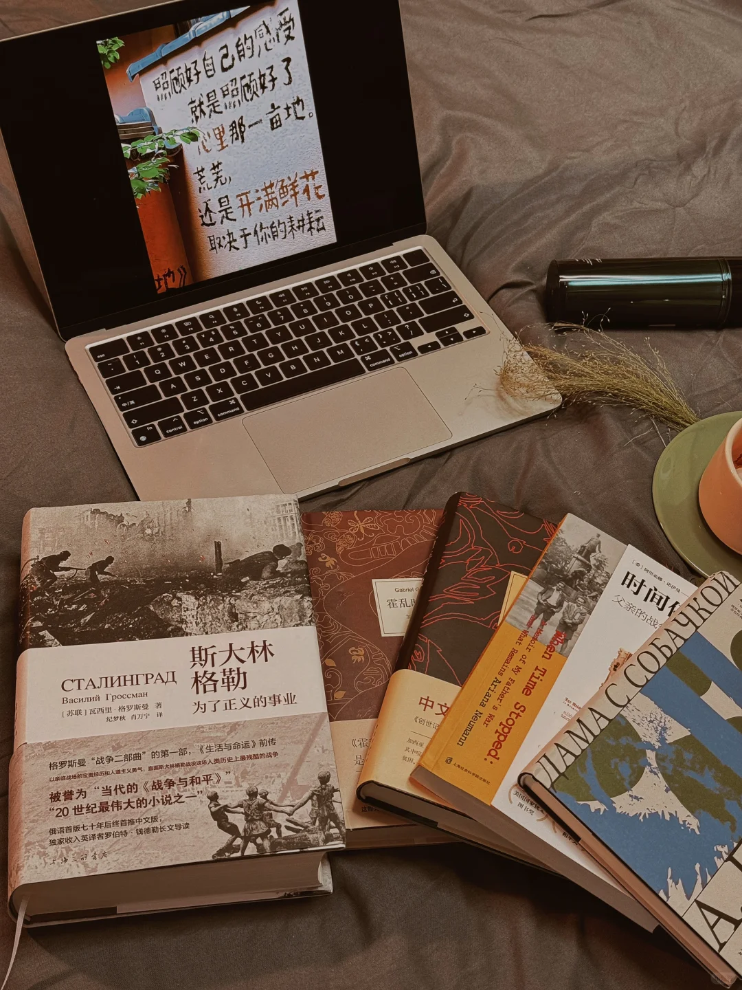 我的2024年度书单📚（文学类）
