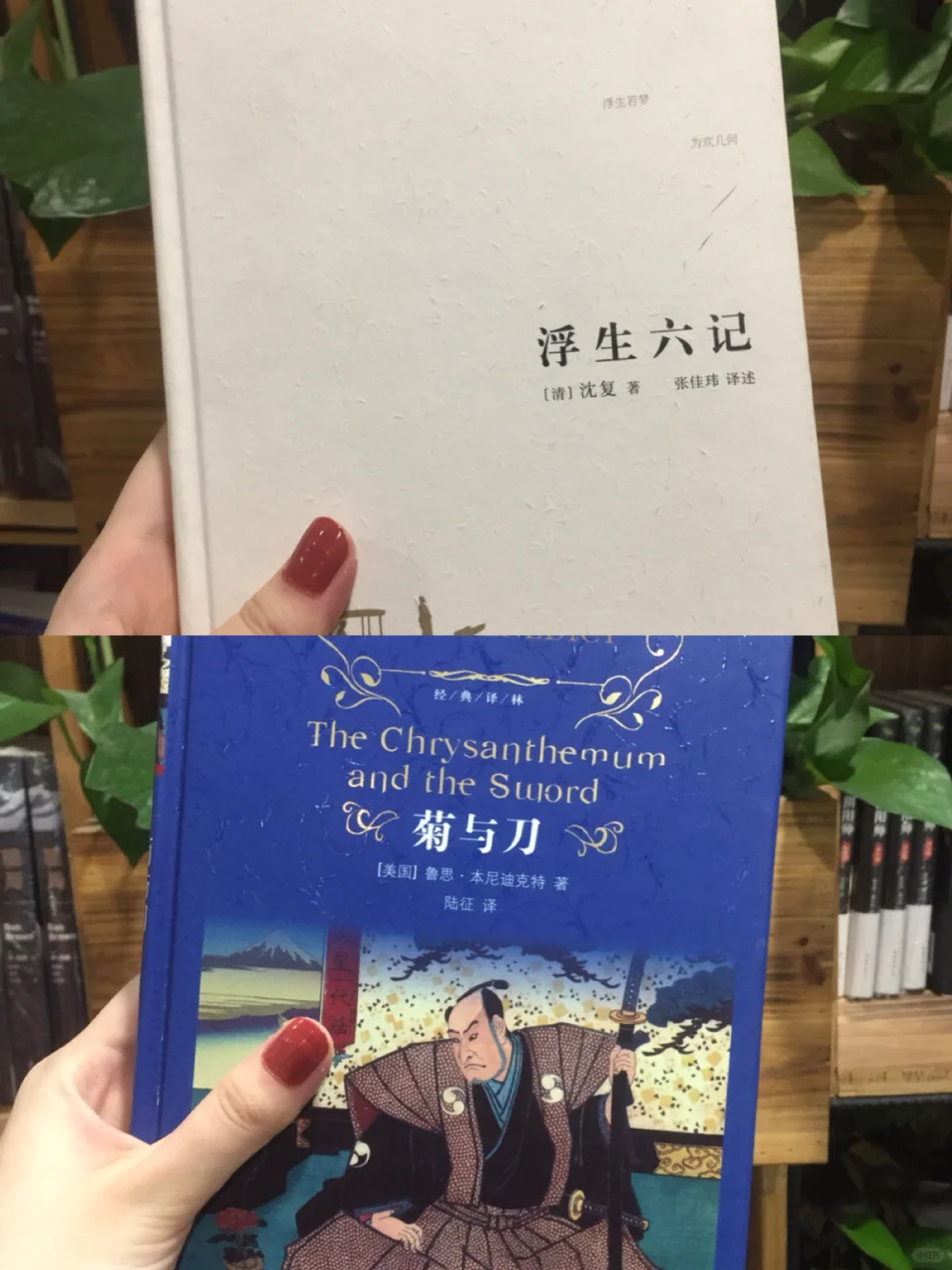 书单推荐‼️一起变优秀呀