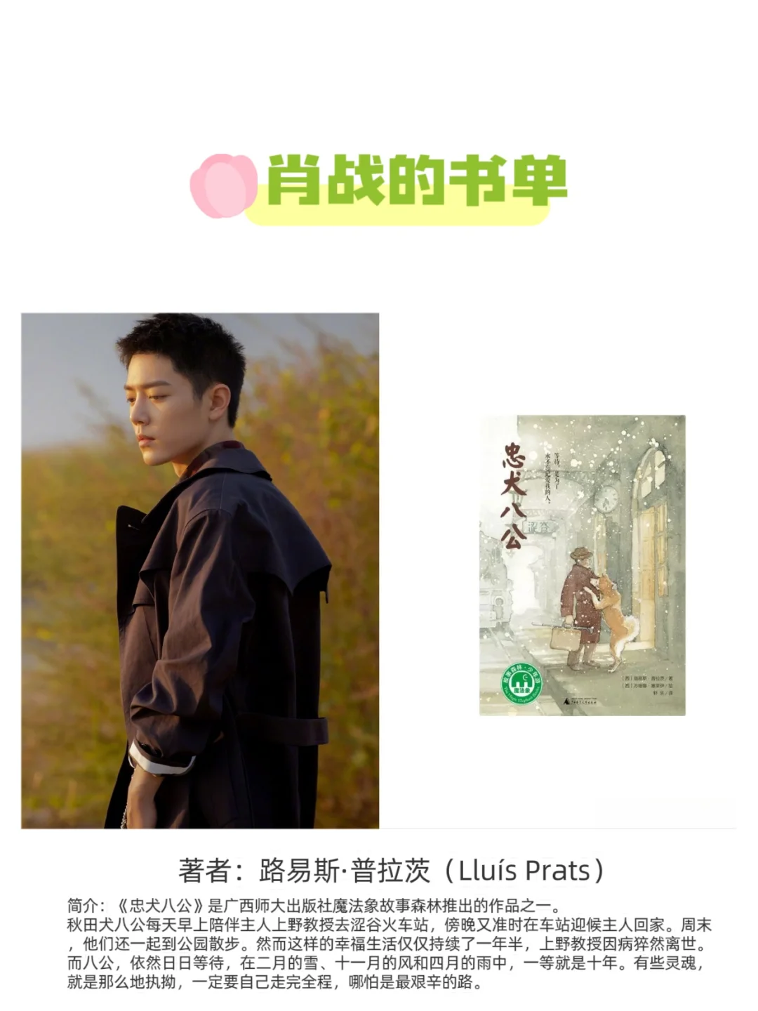 📚 肖战书单×藏海传｜权谋与书香的灵魂共振