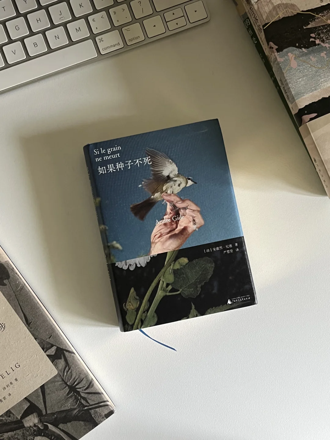 5月书单 📚
