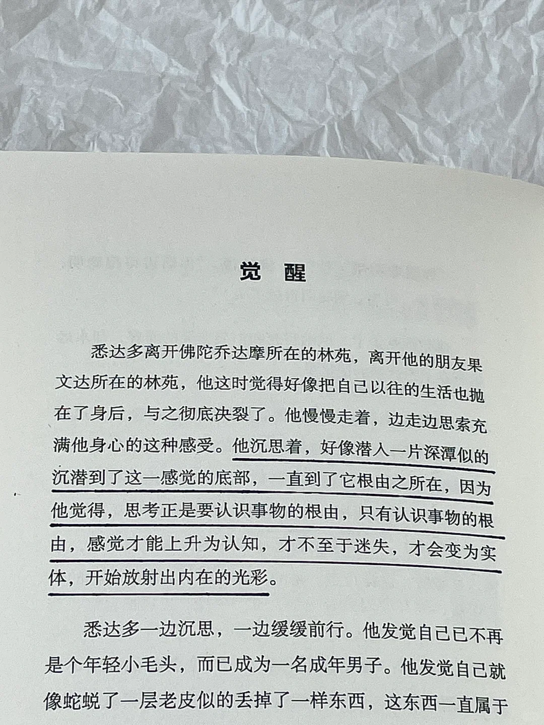 “一本将我从低谷期打捞起来的书”