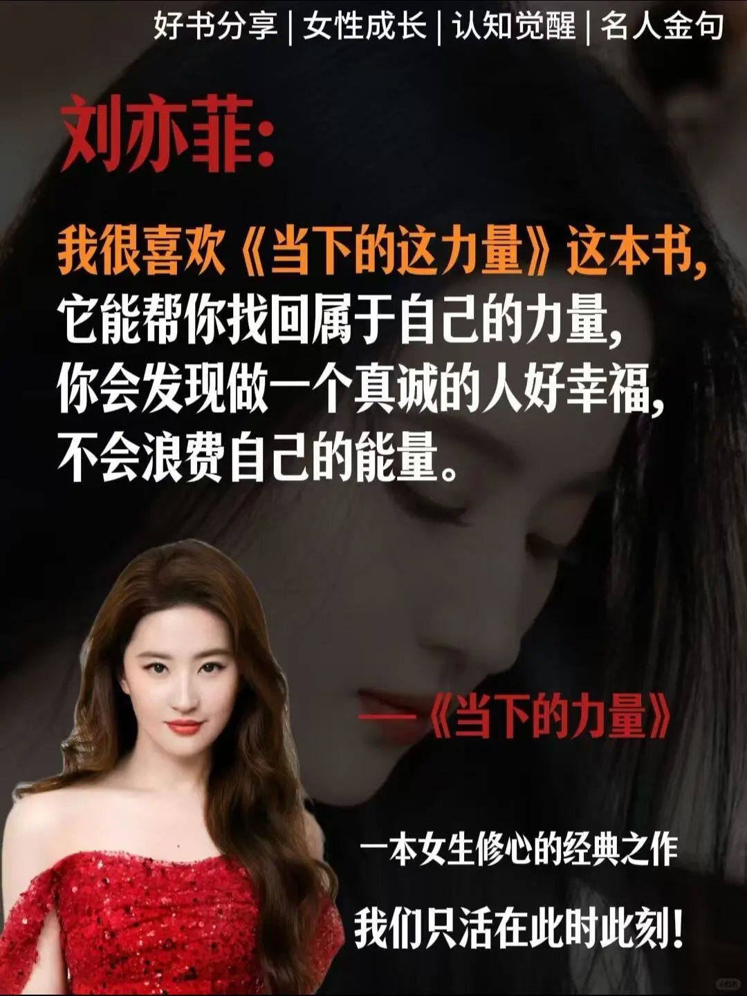 很庆幸读到了这段话！不愧是刘亦菲推荐