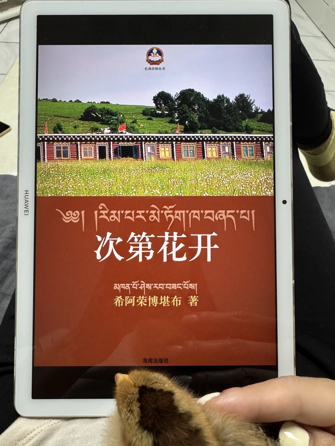 电子书自由，图书馆书单get√📚