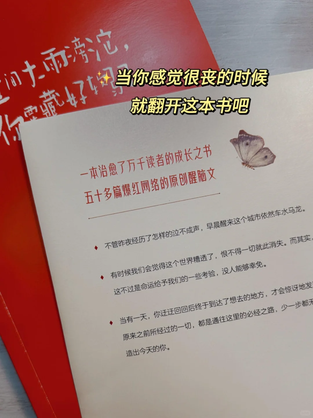 这本书狠狠治愈了我的迷茫和焦虑！