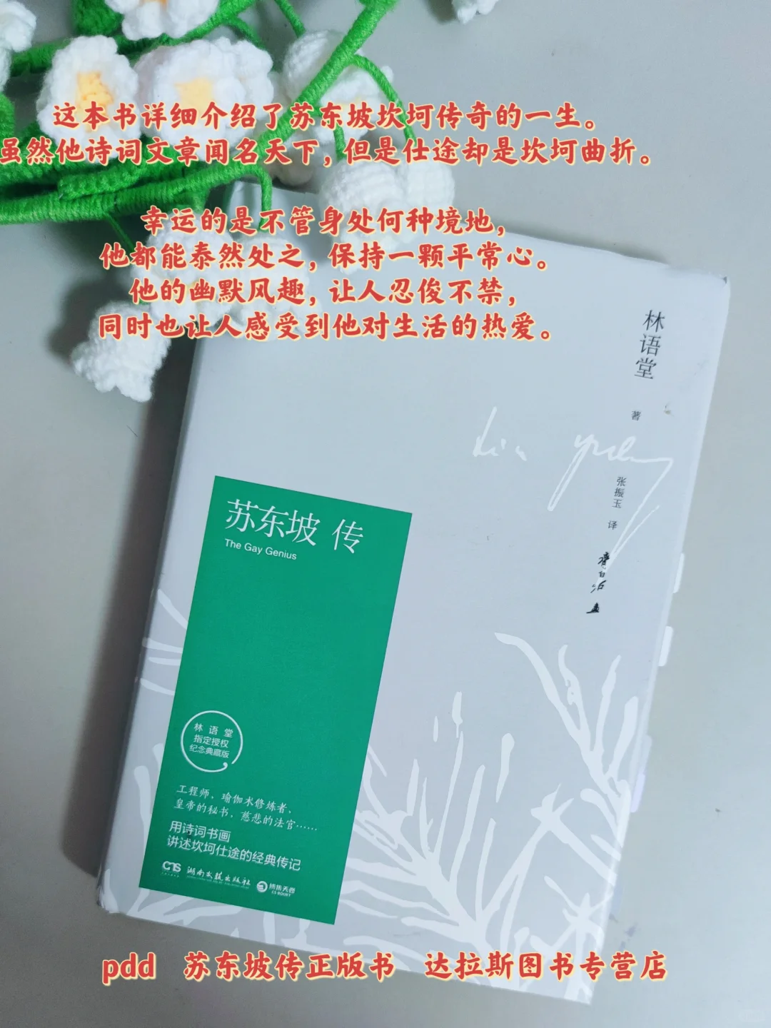 感谢这几本书｜让我从文字里获取生活的力量