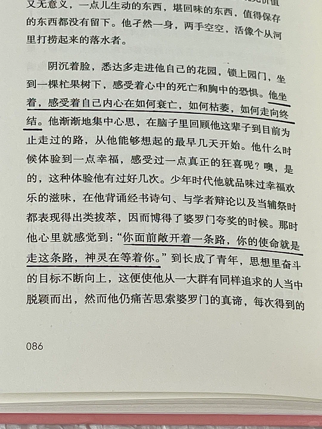 “一本将我从低谷期打捞起来的书”
