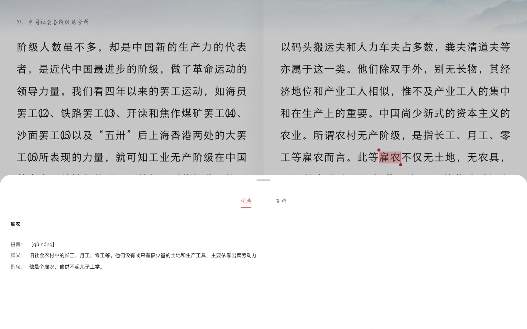 matepad+ z-library，终于实现看书自由啦