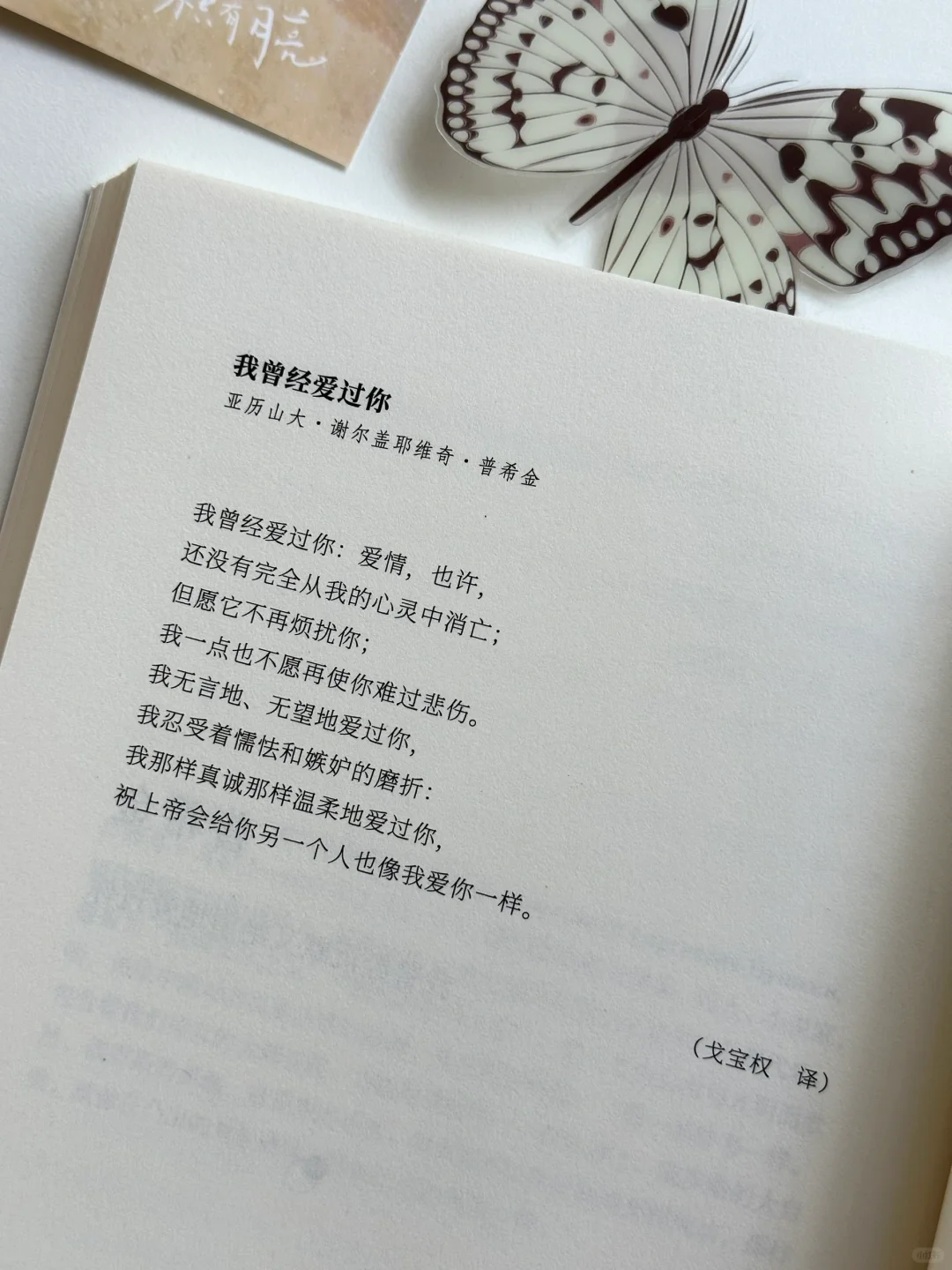太温暖太浪漫了！我恨不得全文都摘抄下来🥹