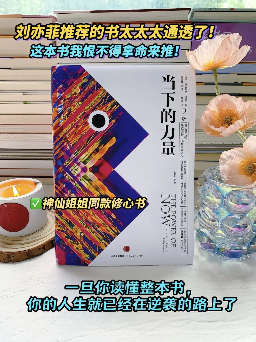 刘亦菲推荐的书、一本女生核心的经世之作