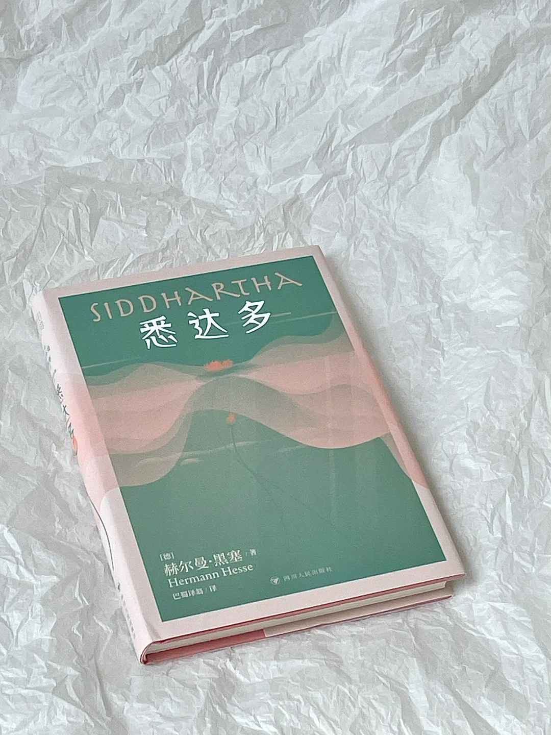 “一本将我从低谷期打捞起来的书”