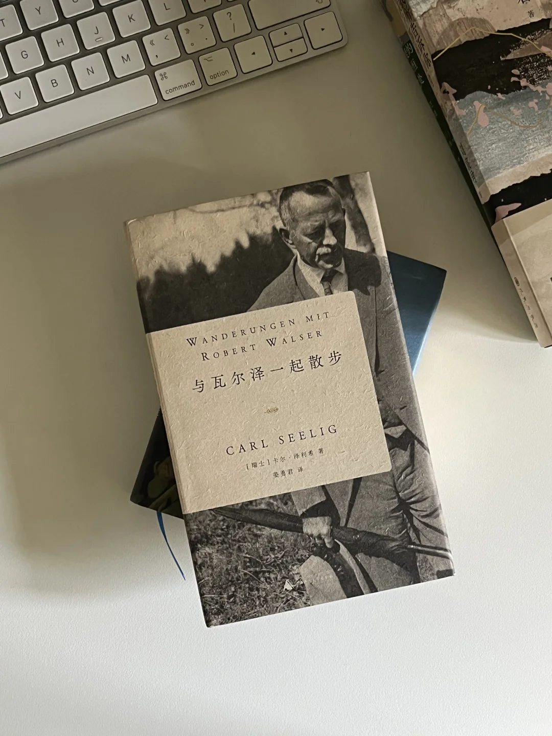 5月书单 📚